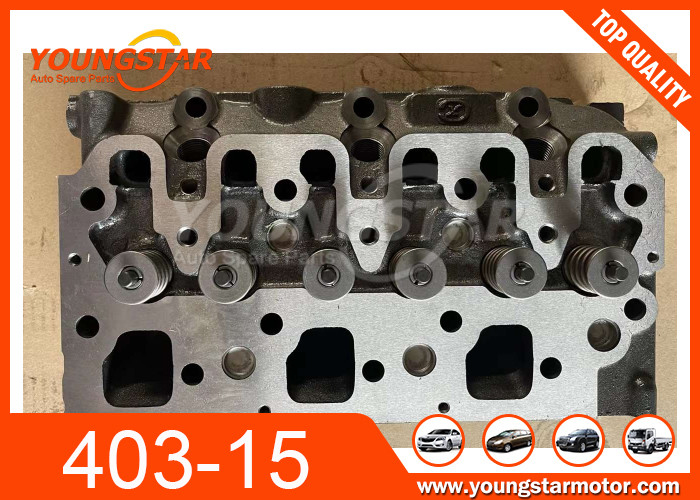 Casting Iron Perkins 403-15 Cylinder Head With Valves