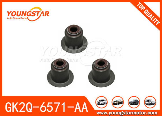 Segel Batang Katup GK2Q-6571-AA Untuk Ford RANGER/2.0 2019