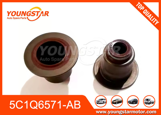5C1Q6571-AB Kerusakan katup untuk Ford V348 Transit 2.4 2.2
