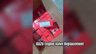 Katup Mesin ISUZU 6BG1 6BD1 0114 0279 Penggantian